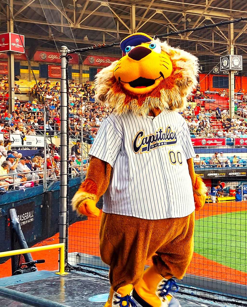 On teste en famille : un match de&nbsp;Baseball